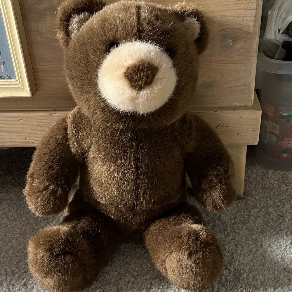 Rare Build-A-Bear Chocolate Brown Teddy